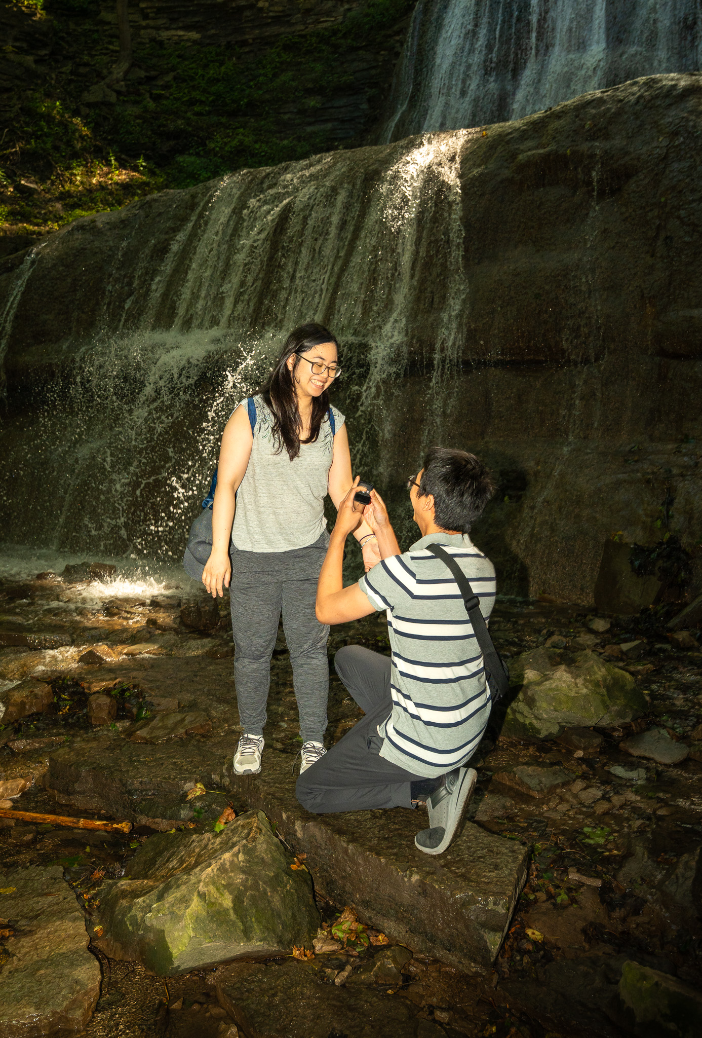 Proposal shoot cover photo